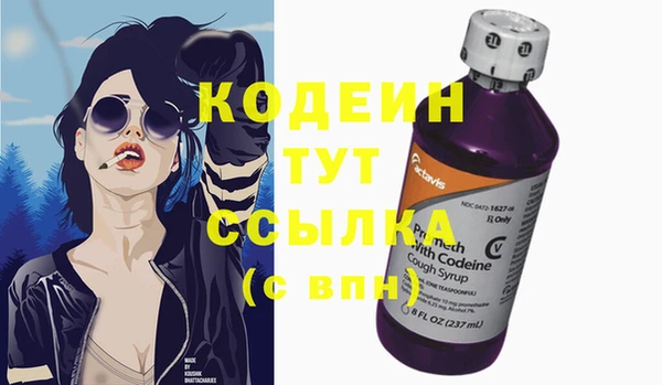 прущие крисы Медвежьегорск