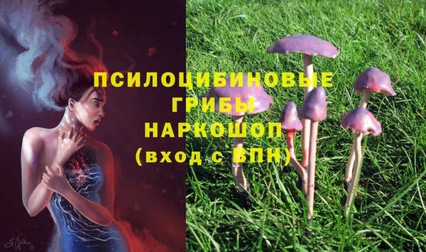 прущие крисы Медвежьегорск