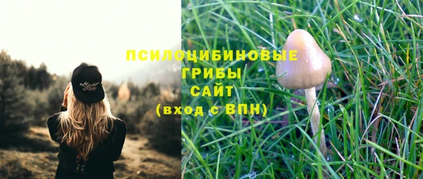 дурь Мегион