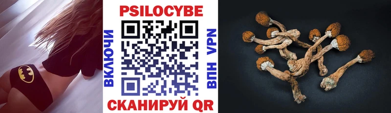 Галлюциногенные грибы GOLDEN TEACHER  KRAKEN рабочий сайт  Малая Вишера 